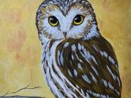 Autumn Owl
