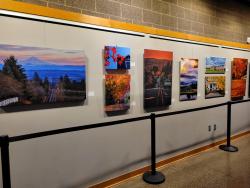 Sherwood Through Our Lens